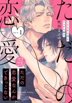 Tada no Renai Nanka de Kikkonai - Kojirase Joushi to Fechina Buka
