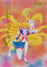 Code Name wa Sailor V