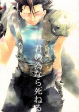 Kingdom Hearts dj - Kimi no Tame Nara Shinenu
