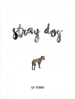 Stray Dogs