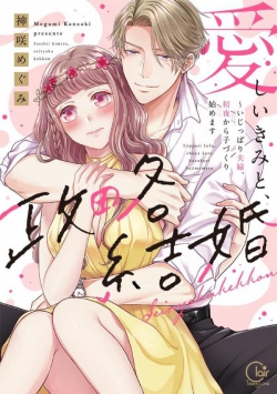 Itoshii Kimito Seiryakukekkon