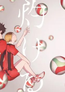 Haikyu!! dj - Yakeru