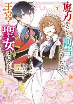 Maryoku ga nai to Kandousaremashita ga, Oukyuu de Seijou Hajimemasu