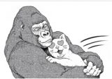 An Extremely Attractive Gorilla
