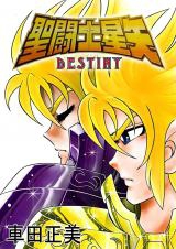 Saint Seiya DESTINY