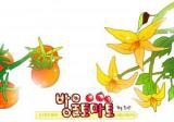 Cherry Tomato