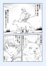 The Journey of the Hero and the Wolf