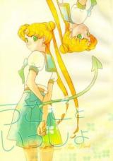 Bishoujo Senshi Sailormoon dj - Usako to Issho