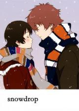 Toki o Kakeru Shoujo dj - Snowdrop